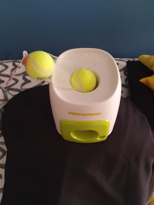 Brinquedo para cães
