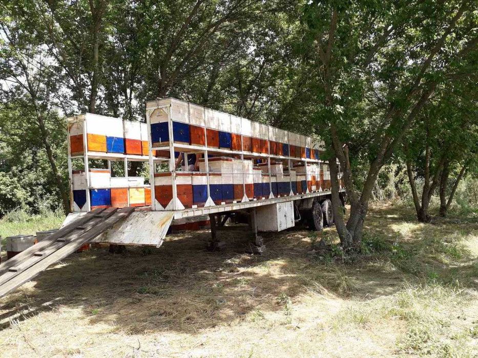 Прецеп для перевезення пасіки