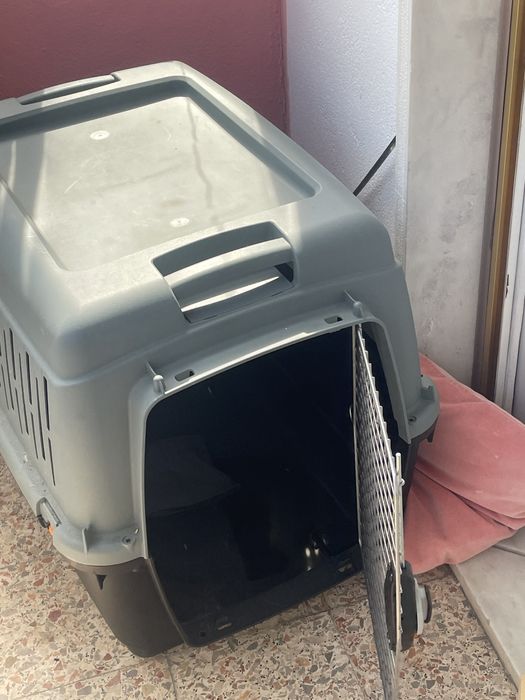 Caixa Transportadora de animais