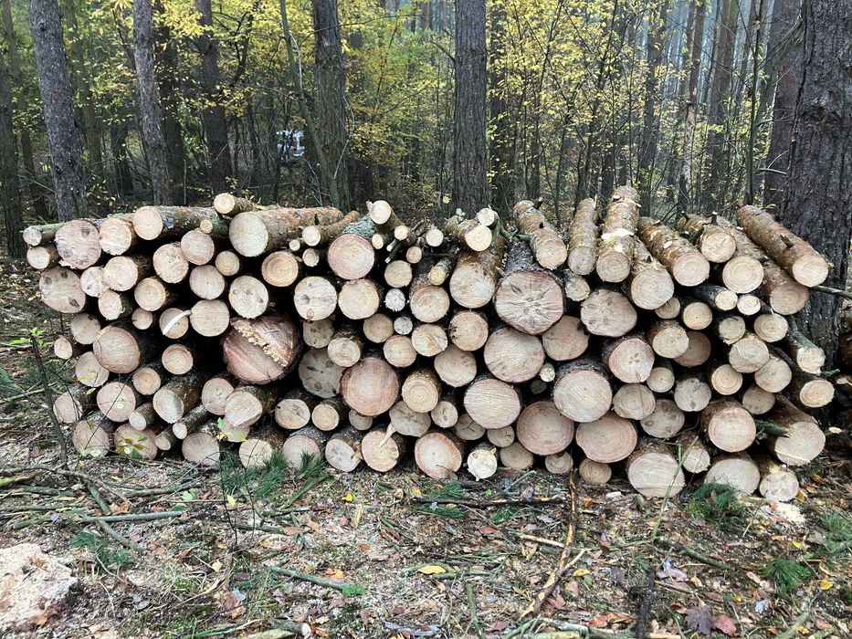 Sprzedam drewno sosnowe.