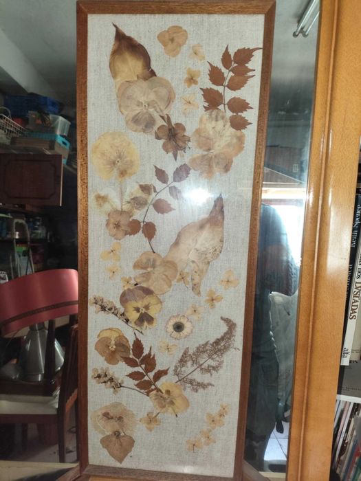 2 Quadros Antigos decorativos de flores secas