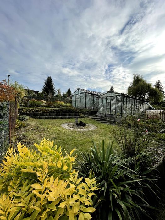 Ogródek Działkowy ROD ,,KĘPA'' Katowice ul.Ligocka