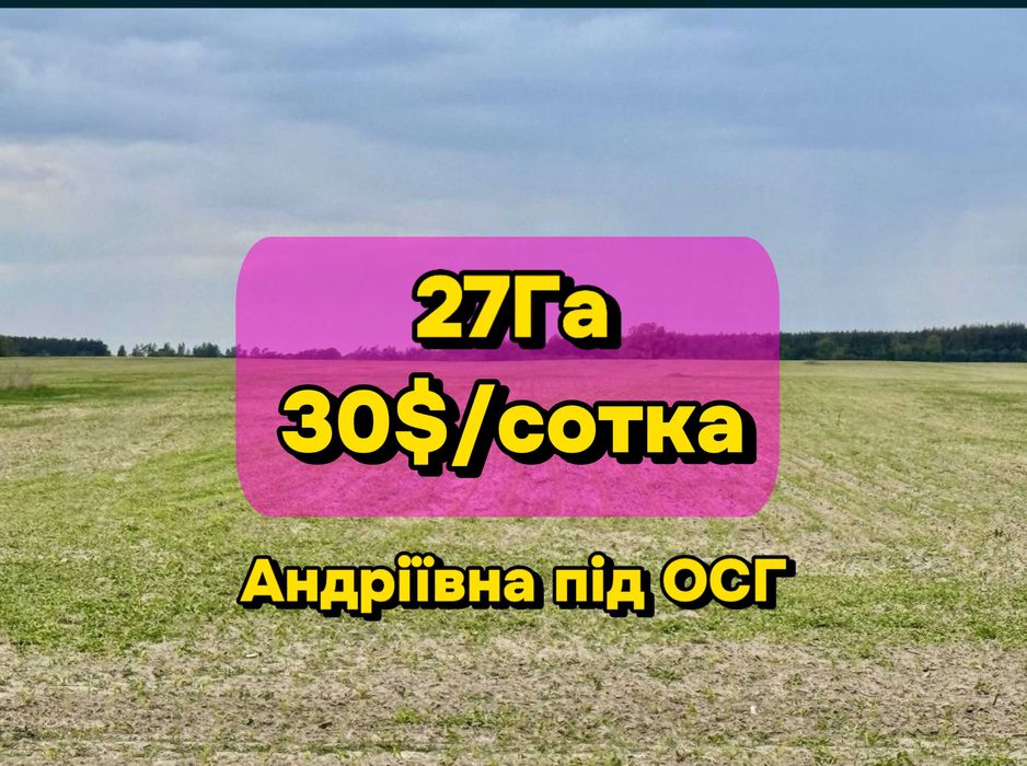 Земельна ділянка під СГ в Андріївці!