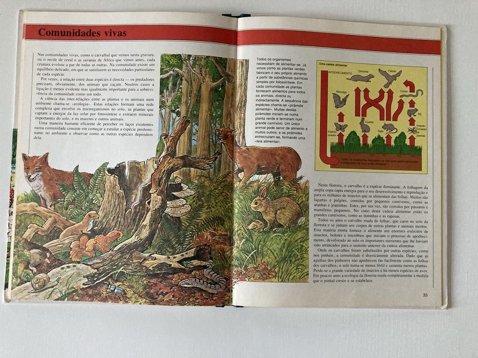 Livro Biologia – Plantas, Animais e Ecologia, de Ifor Evans (Anos 80)