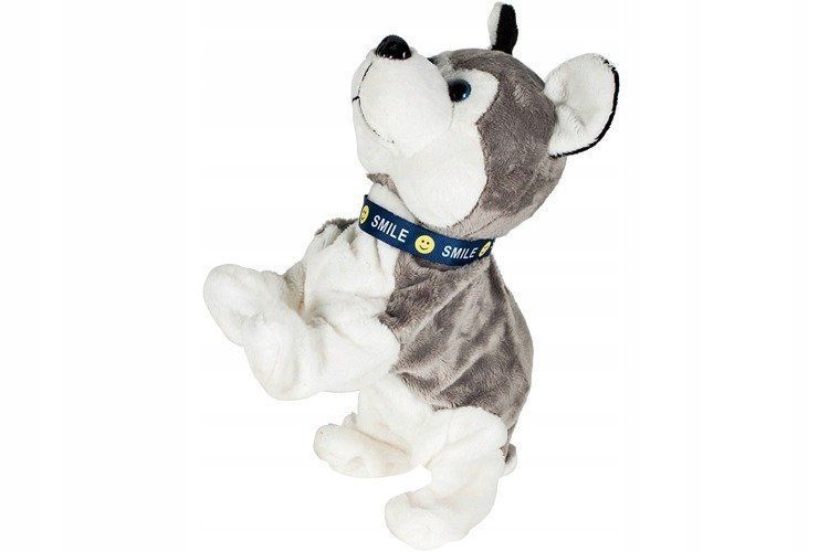 pies interaktywny piesek husky reaguje na dotyk