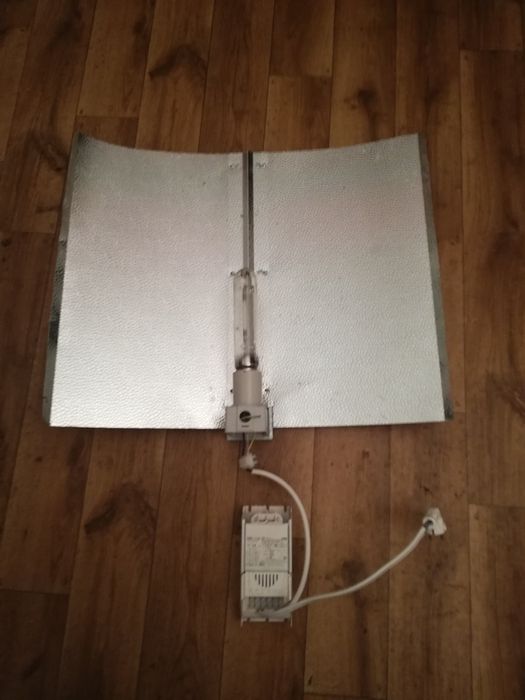 Odbłyśnik do uprawy roślin