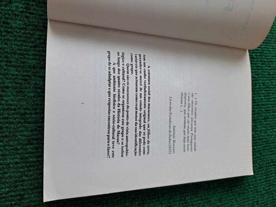 Filhos da Terra - Ana Maria Amaro