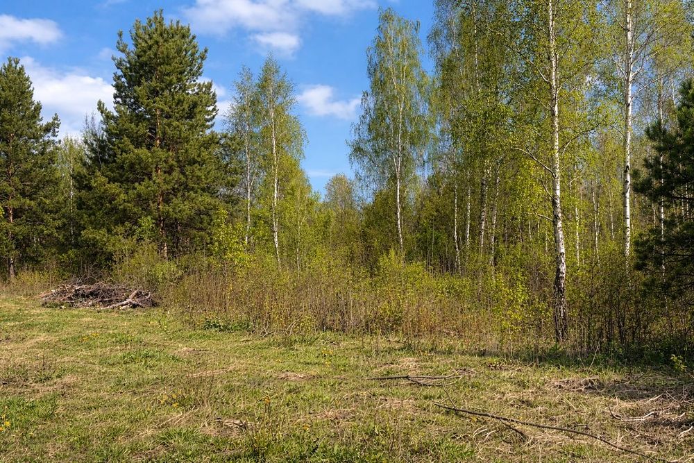 Działka w Uwielinach, w gminie Prażmów pod Warszawą. 1013 m kw. - Widok 2