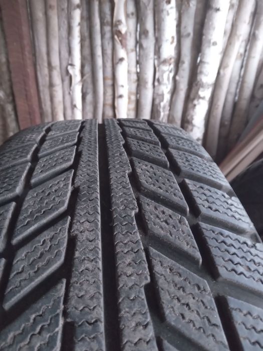 Продам оптом шини 58 шт