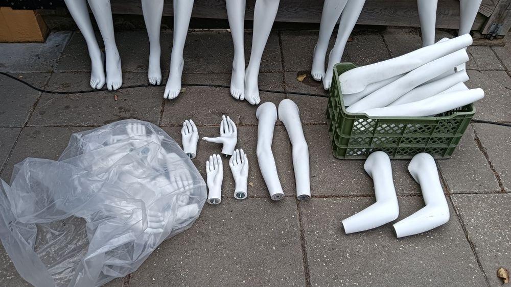 Manequins professionais femininos