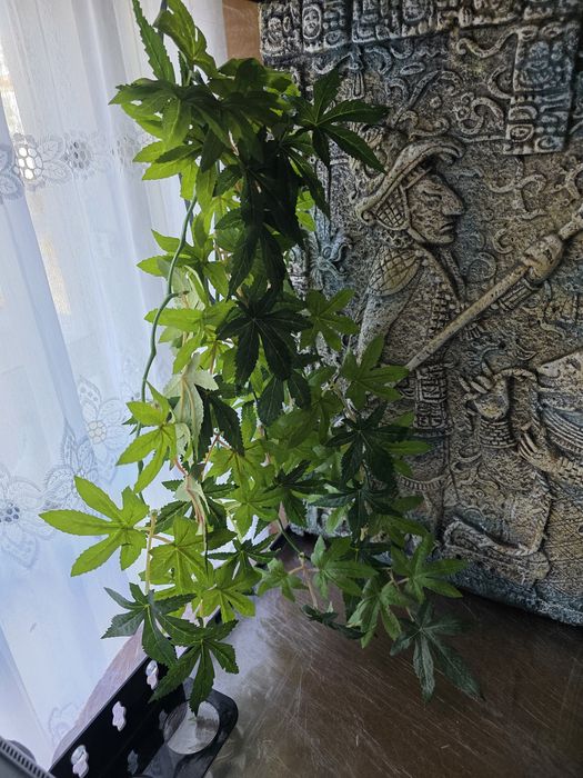 Planta Exo Terra