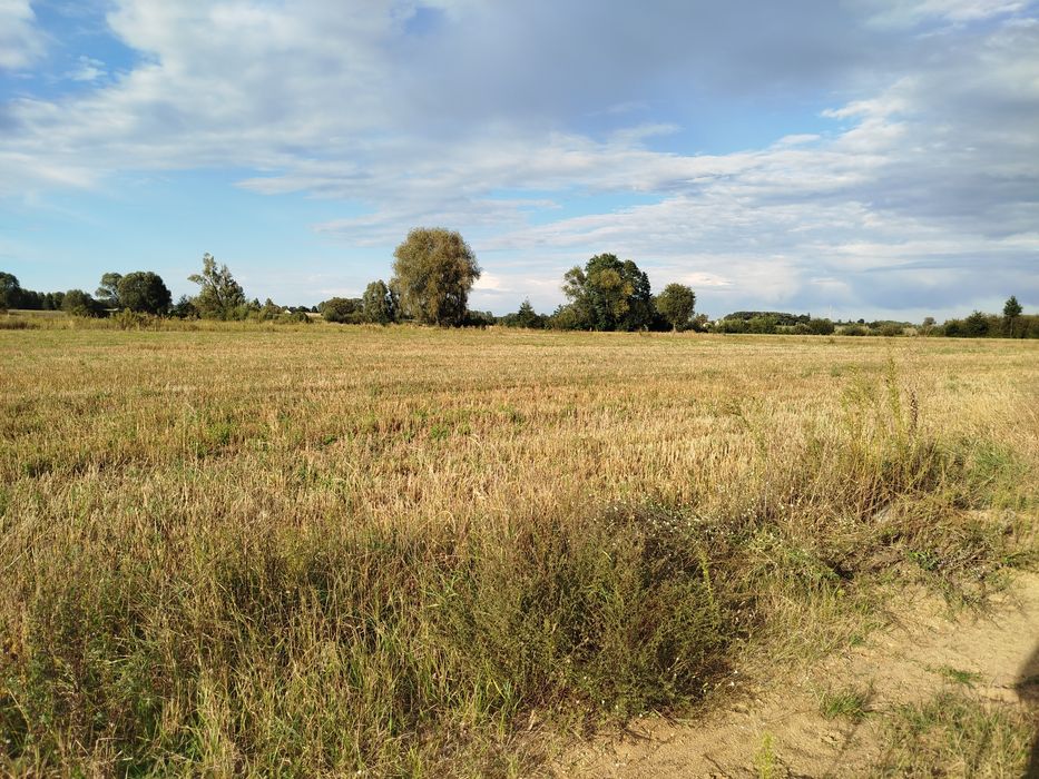 Sprzedam działkę - Widok 2