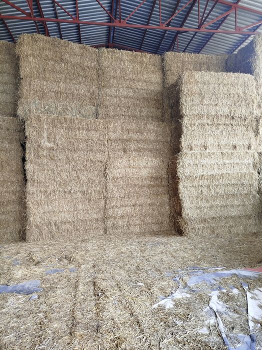 Słoma siano 2025 duża kostka Transport