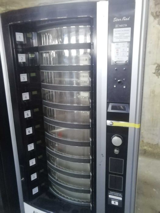 Necta Starffod  talerzowiec