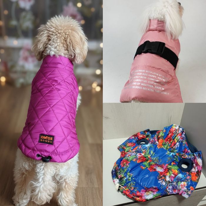 Новий одяг для собак