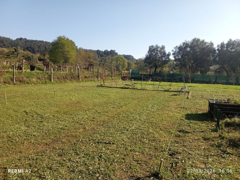 terreno pomar 3100 m2