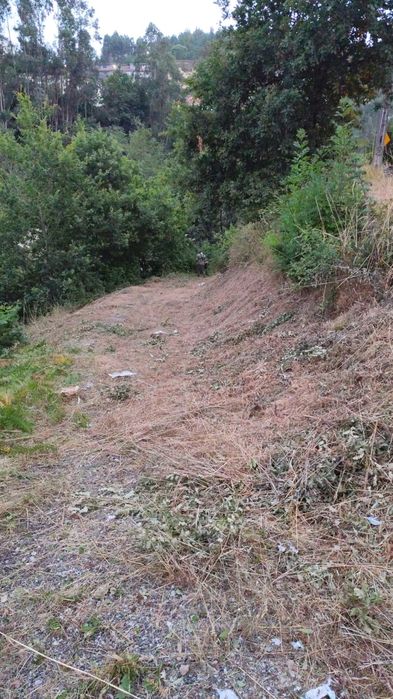 Terreno com casa para restauro