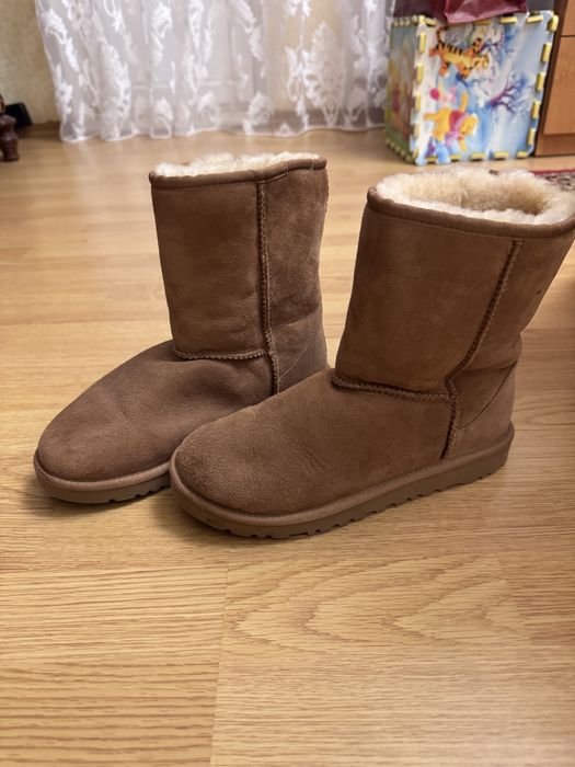 Жіночі ботинки Ugg/угі