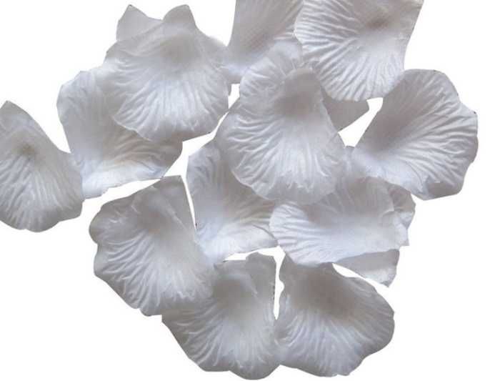 Conjunto de 1000 Pétalas Decorativas