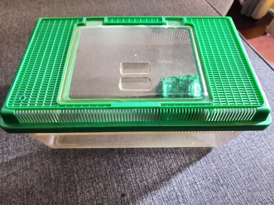 Tartarugueira (par tartaruga)