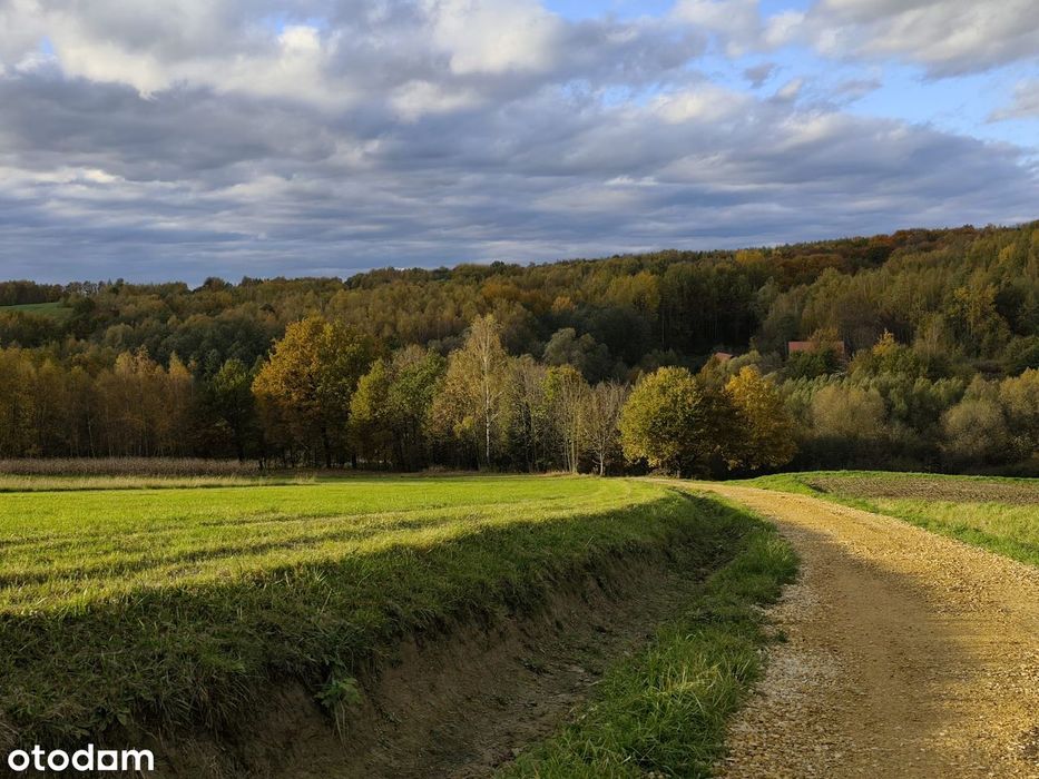 Unikalne Siedlisko 1,3 ha z Własnym Lasem i Stawem