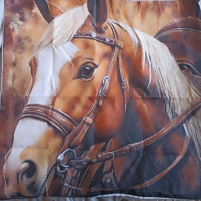 Наволочка з малюнком