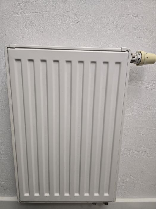 Grzejnik panelowy z termostatem 10x40cm