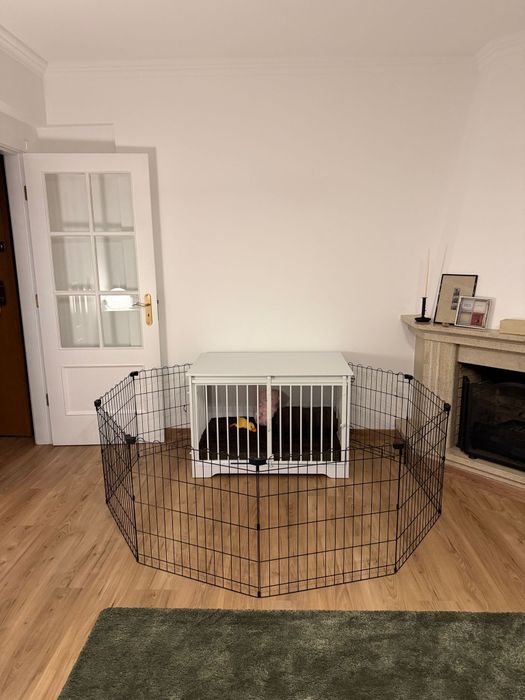 Jaula/Playpen para cão