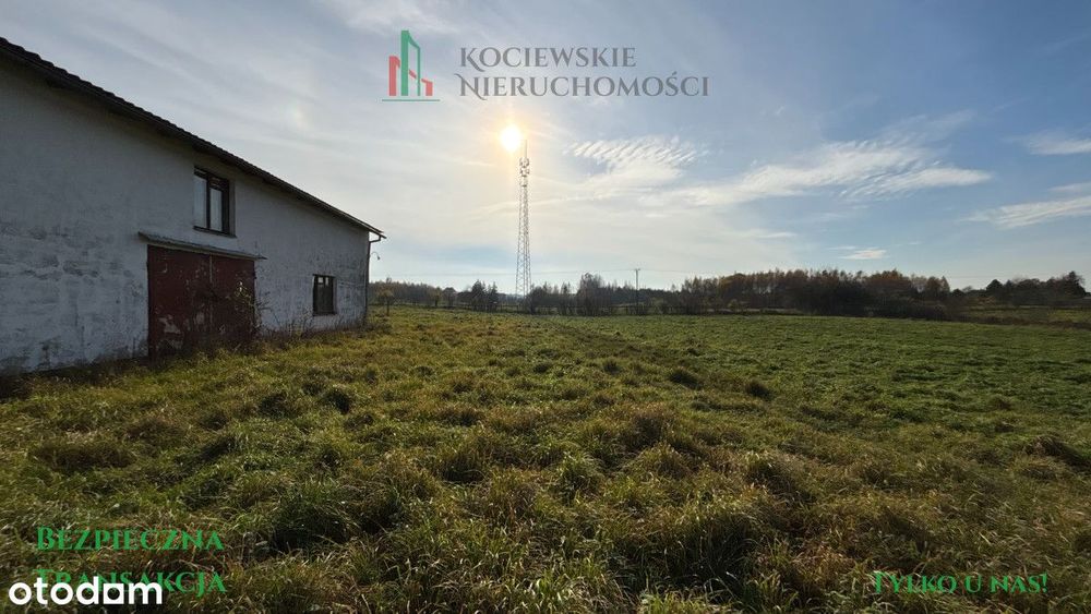 Duża działka rolna z magazynem – ul. Korytybska - View 3