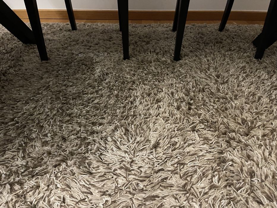 Dois Tapetes Felpudos de Sala