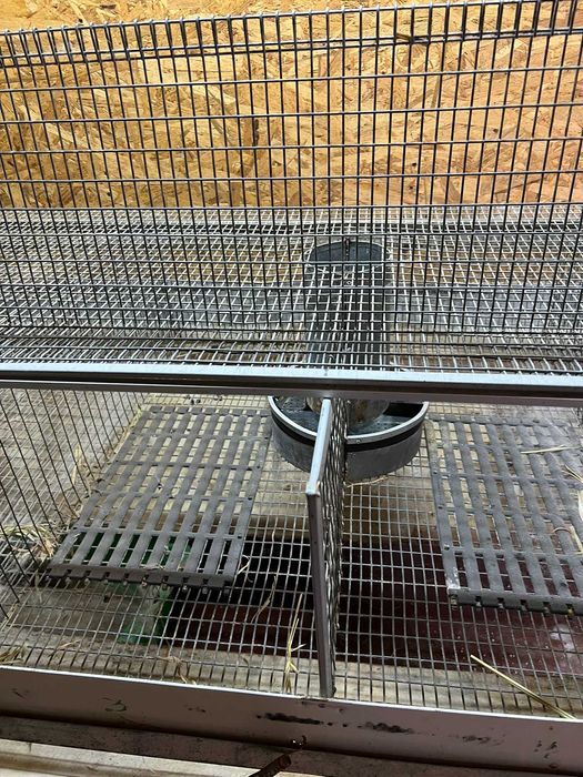 Клітка для відгодівлі кролів