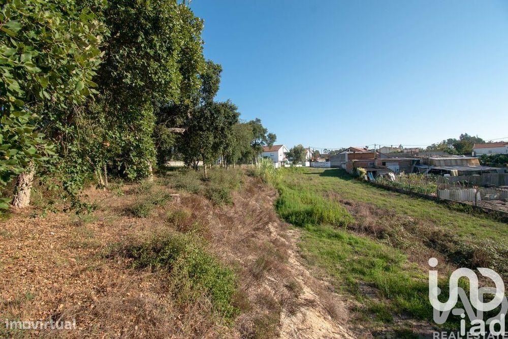 Terreno Agrícola em Amor