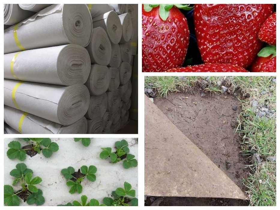 Геотекстиль від бур'янів, 100-330г/м2