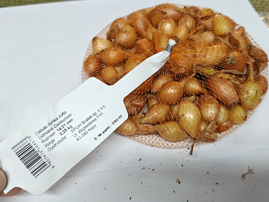 CEBULA DYMKA żółta 14-21mm Centurion 250g