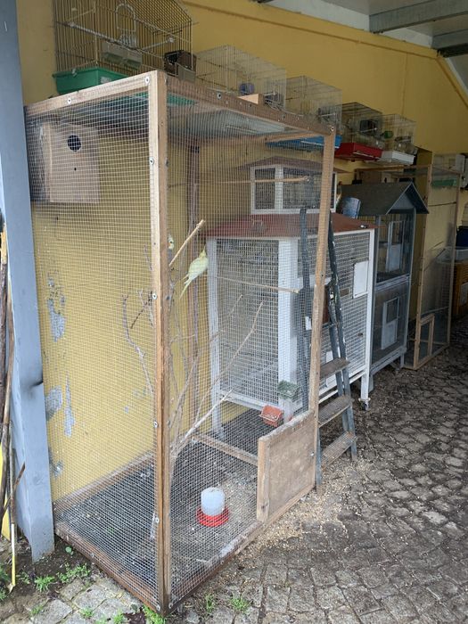 Gaiolas / Viveiros Várias