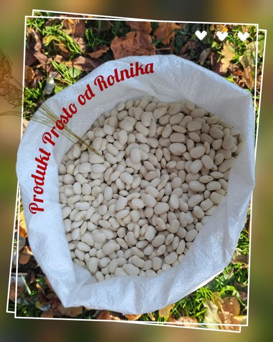 Fasola Jaś Opakowanie 5 kg wysyłka natychmiast Inpost