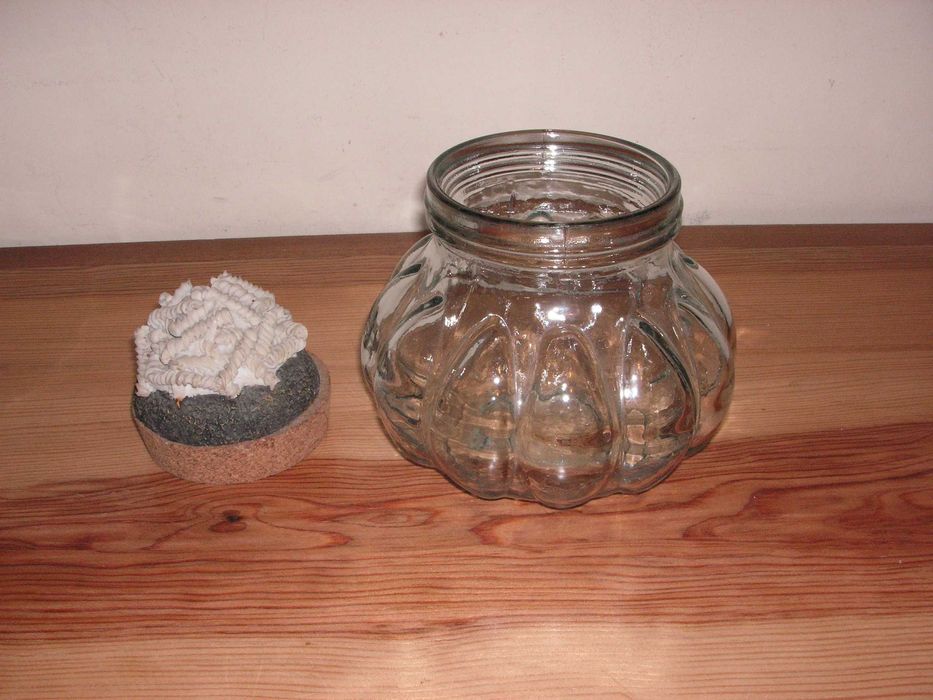 Garrafa e Jarro em Vidro e Metal e Pote Redondo Vidro