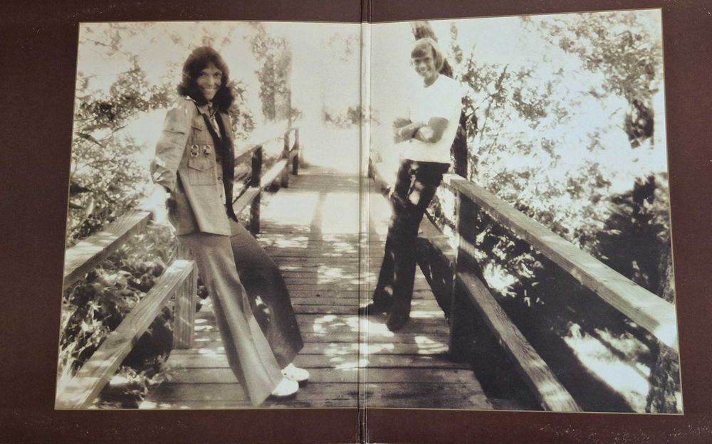Вінілова платівка Carpenters The Singles 1969-1973
