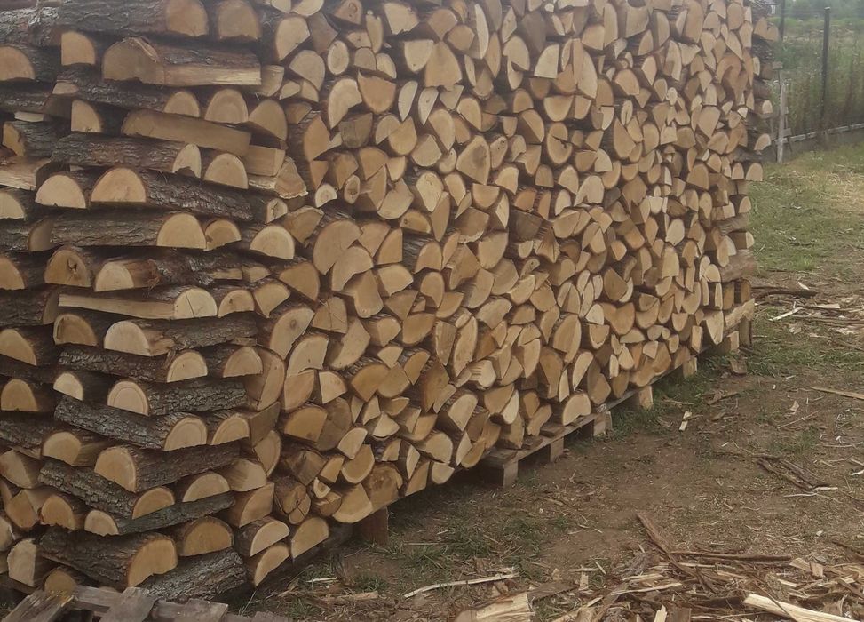 Dąb drewno kominkowe.