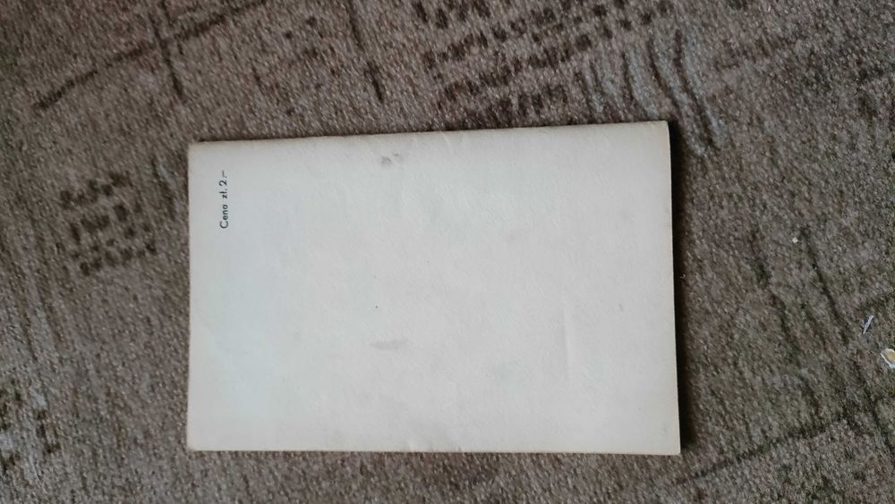 Wady Postawy u dzieci Anyżewski