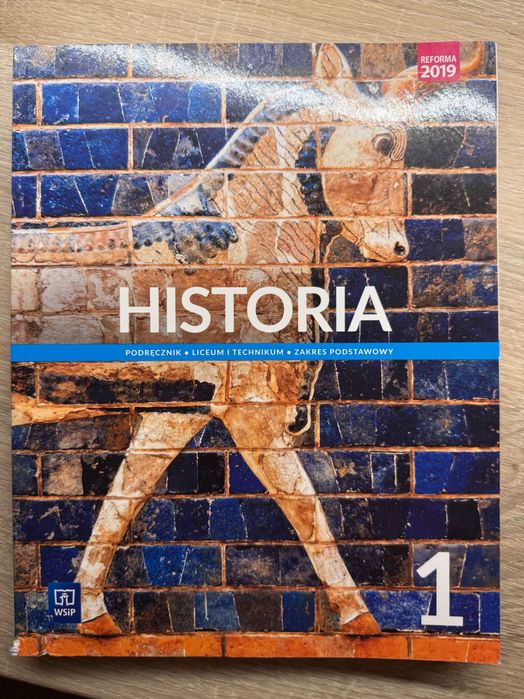 Historia 1 WSiP podręcznik w stanie idealnym