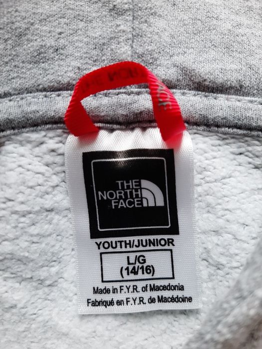 Bluza hoodie the north face