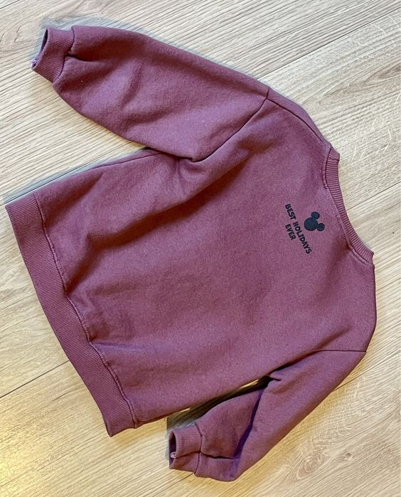 Кофта тепла 98 см світшот Zara 98