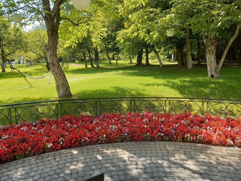 Ландшафтний дизайн( озеленення,рулонний газон,бруківка)