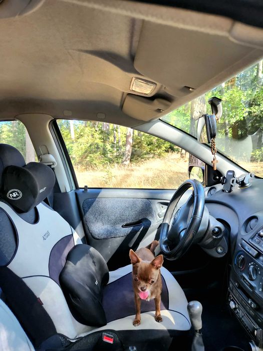 TOYOTA YARIS 1.0 bebzyna 2003 - niezawodna i oszczędna!