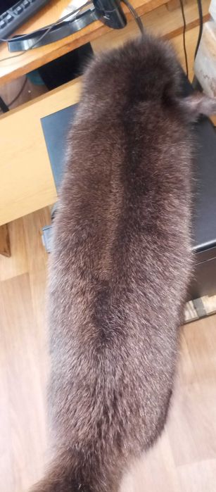 ХУТРО ПЕСЦЯ НОВЕ шкірки