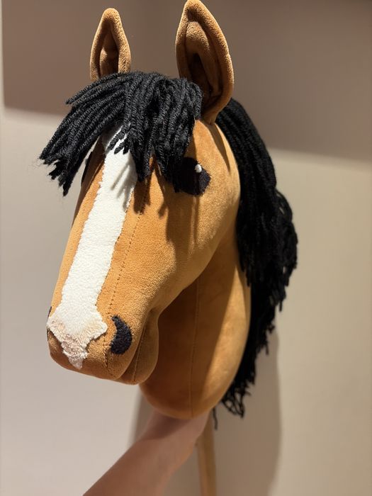 Hobby horse gniady