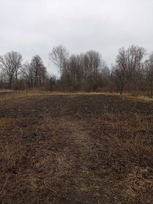 Продам будинок та земельну ділянку в с.Рудьківка