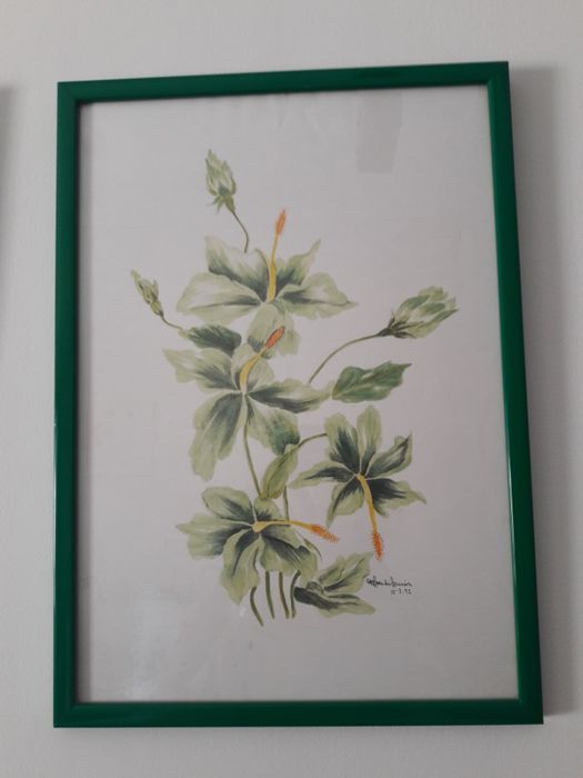 Conjunto de 4 quadros64739312666371124