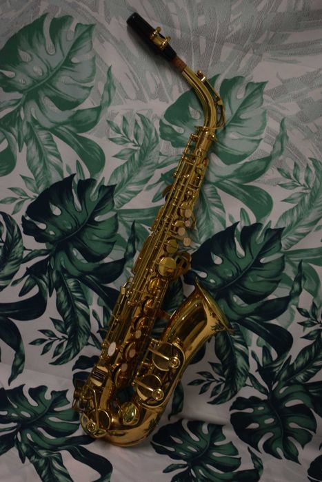 Saxophone Alto Comet Com Estojo. N 2064175300986371121